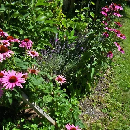 Gemuetliches Mit Wintergarten *